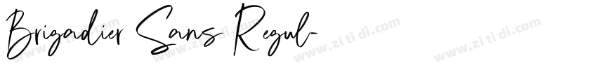 Brigadier Sans Regul字体转换